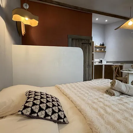 Craft - - Balneo - Parking Prive * Saint-Etienne (Loire)